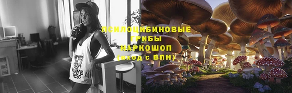 соль ск Абдулино