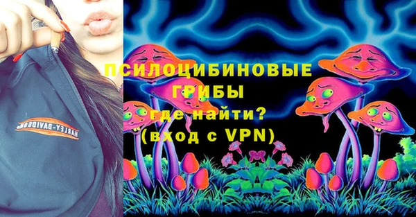 дурь Анива