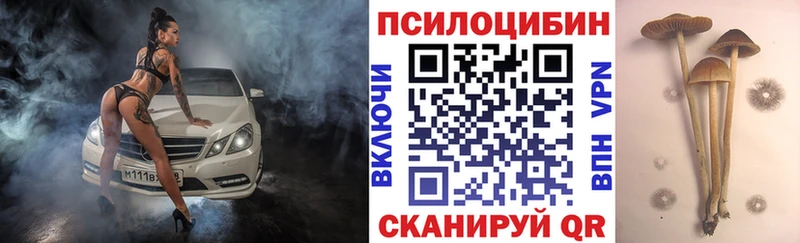 как найти наркотики  Бирюсинск  mega сайт  Галлюциногенные грибы мухоморы 